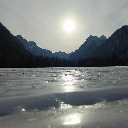 Apartamento Turisticna Kmetija Psnak Mojstrana Exterior foto