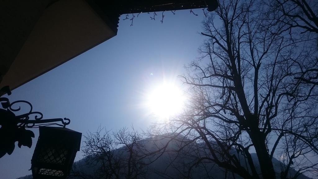 Apartamento Turisticna Kmetija Psnak Mojstrana Exterior foto