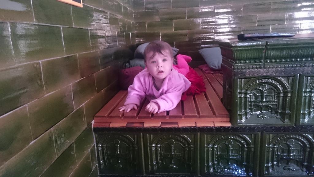 Apartamento Turisticna Kmetija Psnak Mojstrana Exterior foto