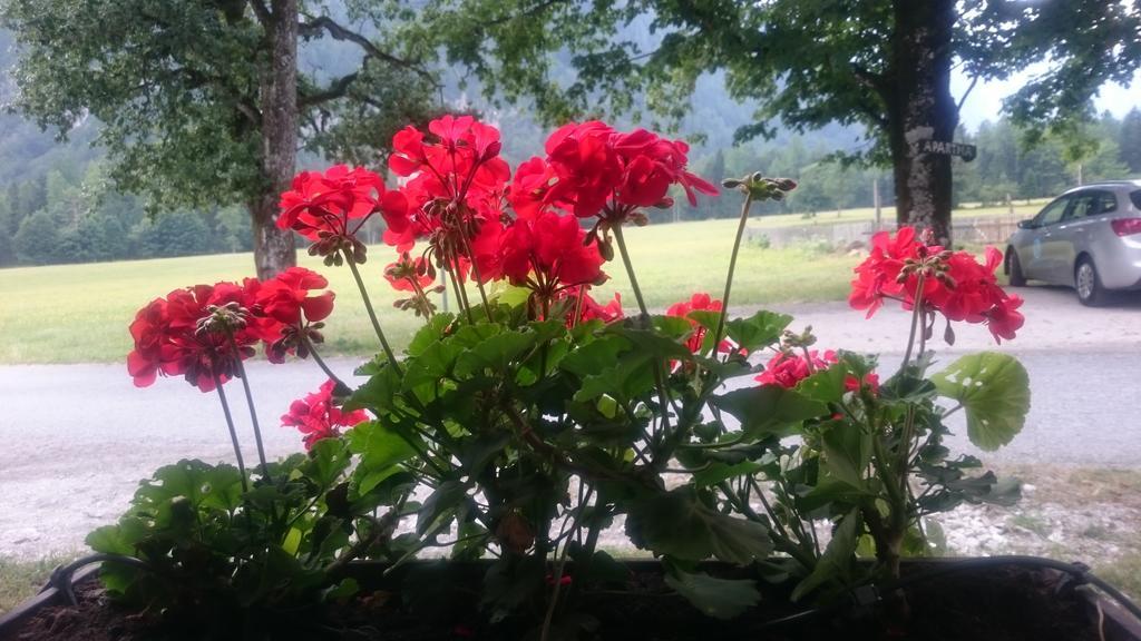 Apartamento Turisticna Kmetija Psnak Mojstrana Exterior foto
