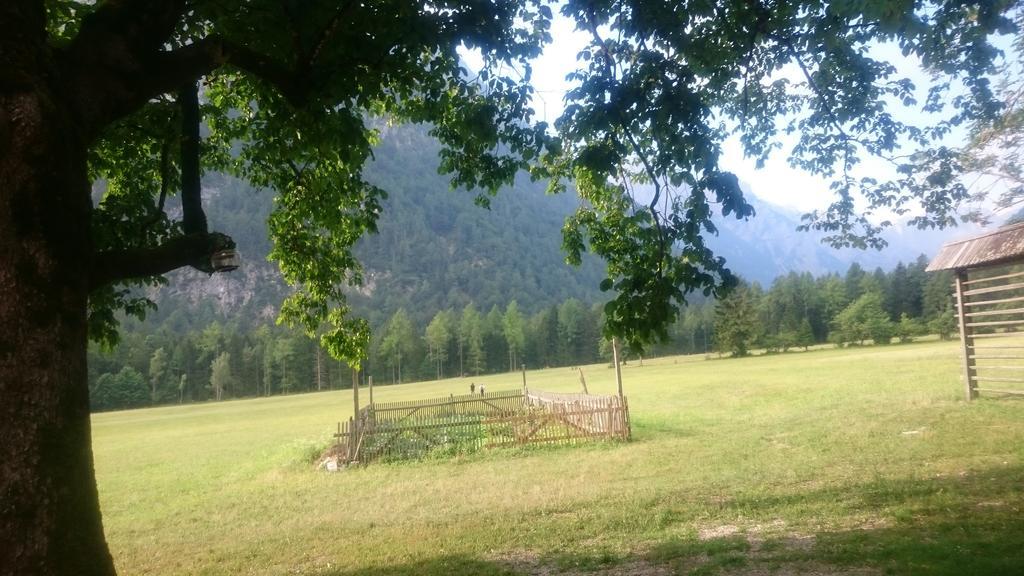 Apartamento Turisticna Kmetija Psnak Mojstrana Exterior foto