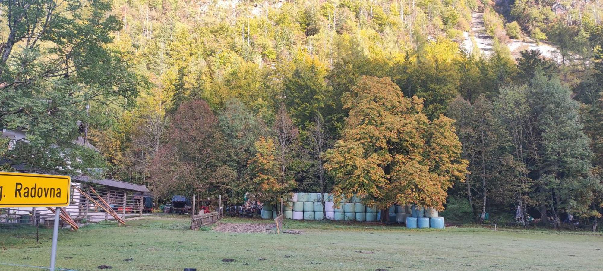 Apartamento Turisticna Kmetija Psnak Mojstrana Exterior foto