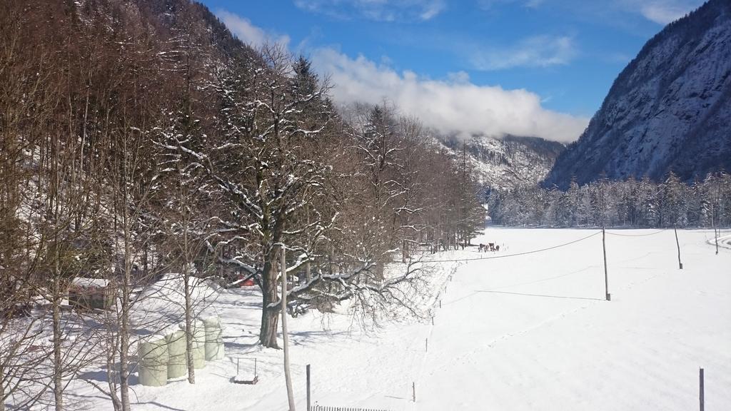 Apartamento Turisticna Kmetija Psnak Mojstrana Exterior foto