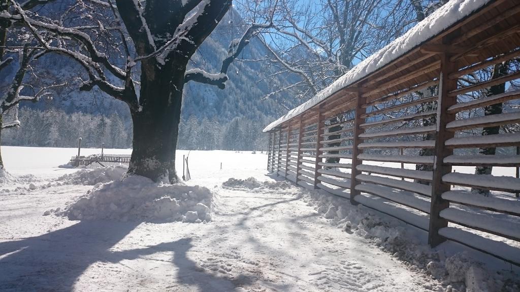 Apartamento Turisticna Kmetija Psnak Mojstrana Exterior foto