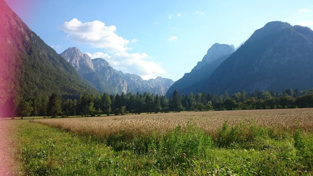 Apartamento Turisticna Kmetija Psnak Mojstrana Exterior foto