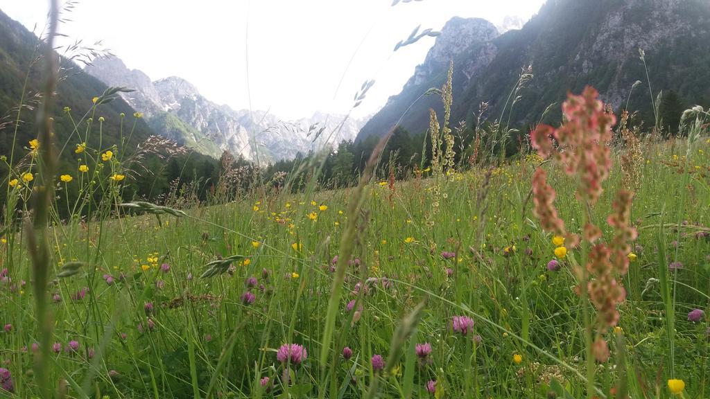 Apartamento Turisticna Kmetija Psnak Mojstrana Exterior foto