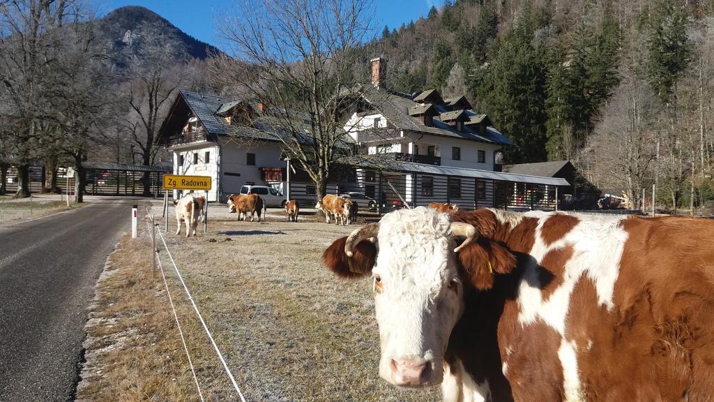 Apartamento Turisticna Kmetija Psnak Mojstrana Exterior foto