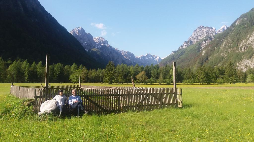 Apartamento Turisticna Kmetija Psnak Mojstrana Exterior foto