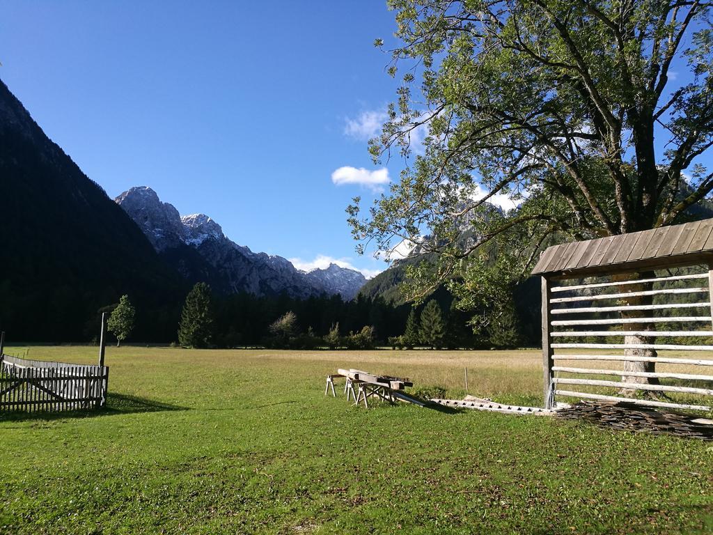 Apartamento Turisticna Kmetija Psnak Mojstrana Exterior foto