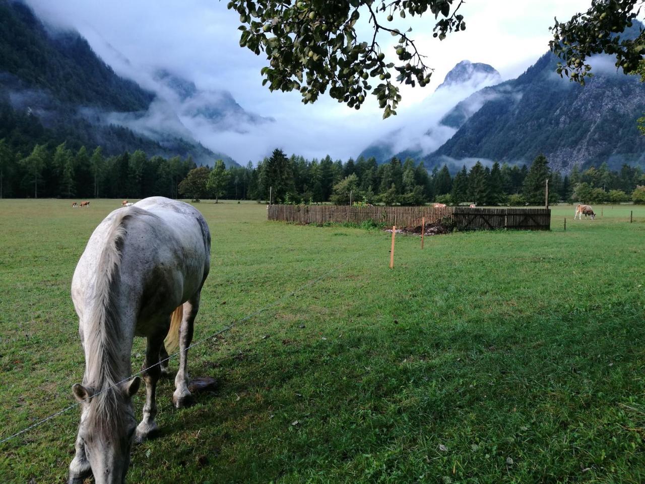 Apartamento Turisticna Kmetija Psnak Mojstrana Exterior foto