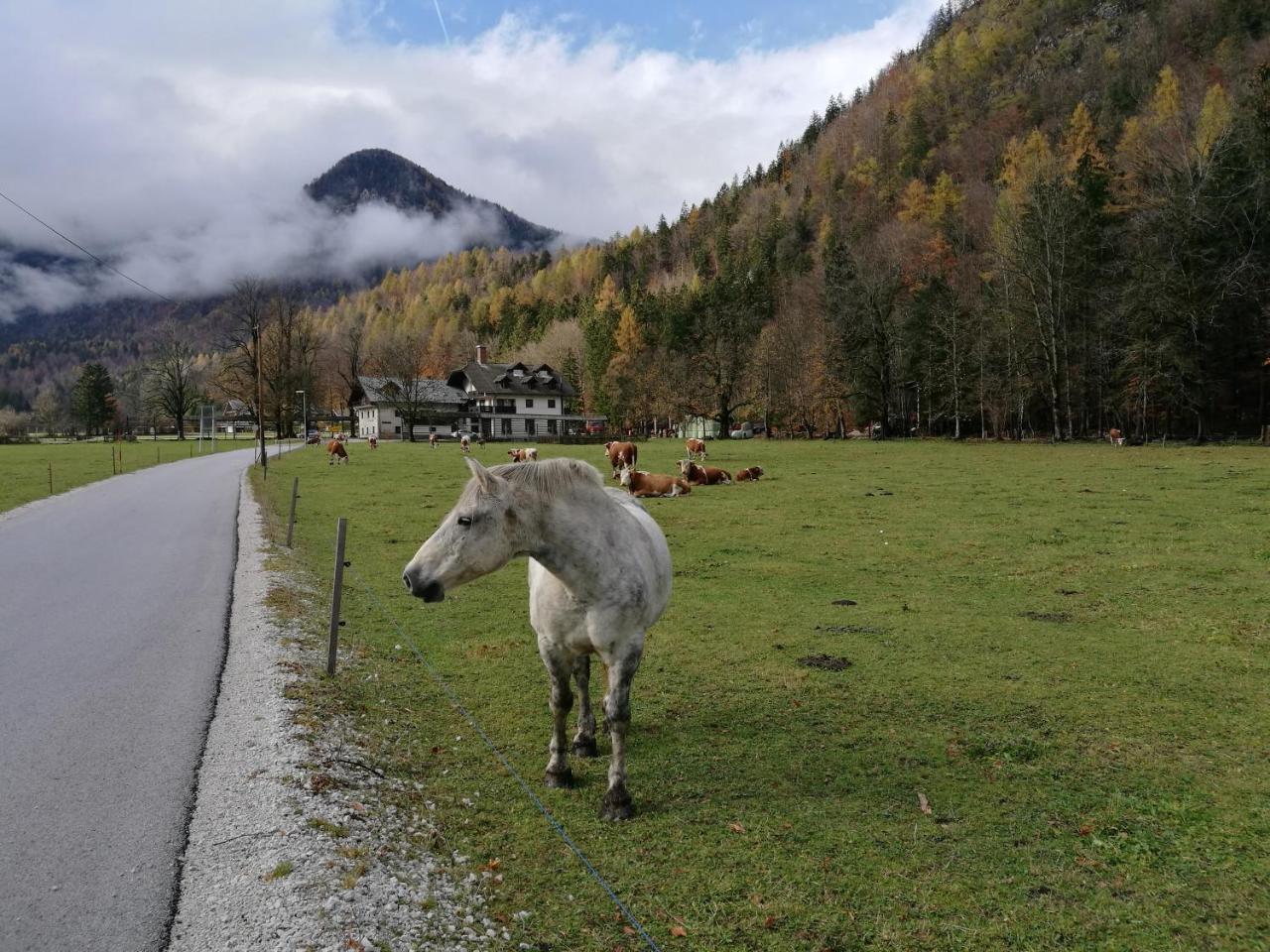 Apartamento Turisticna Kmetija Psnak Mojstrana Exterior foto