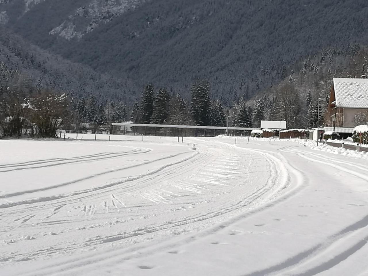 Apartamento Turisticna Kmetija Psnak Mojstrana Exterior foto